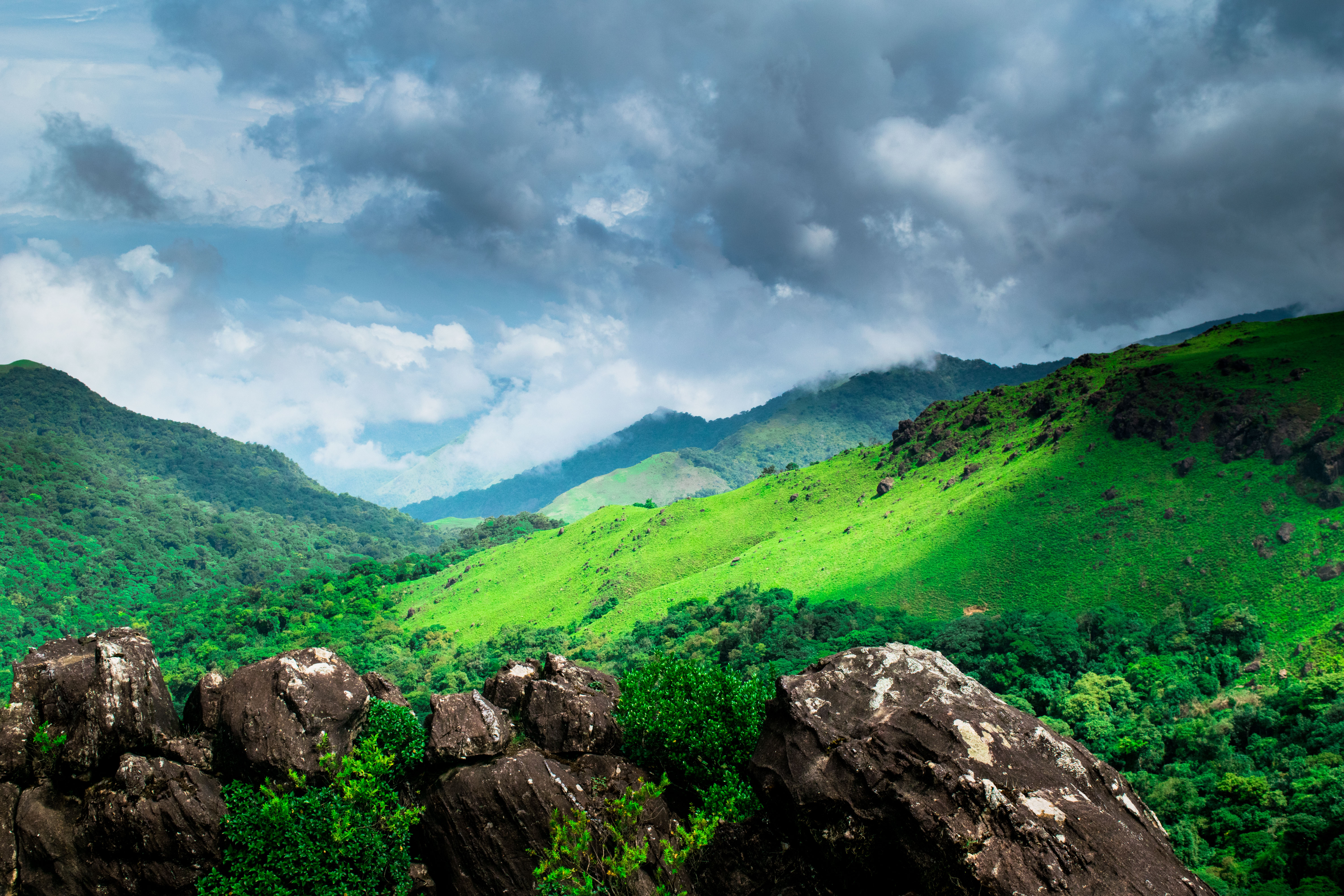 Coorg landscape