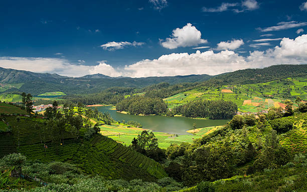 Ooty hills